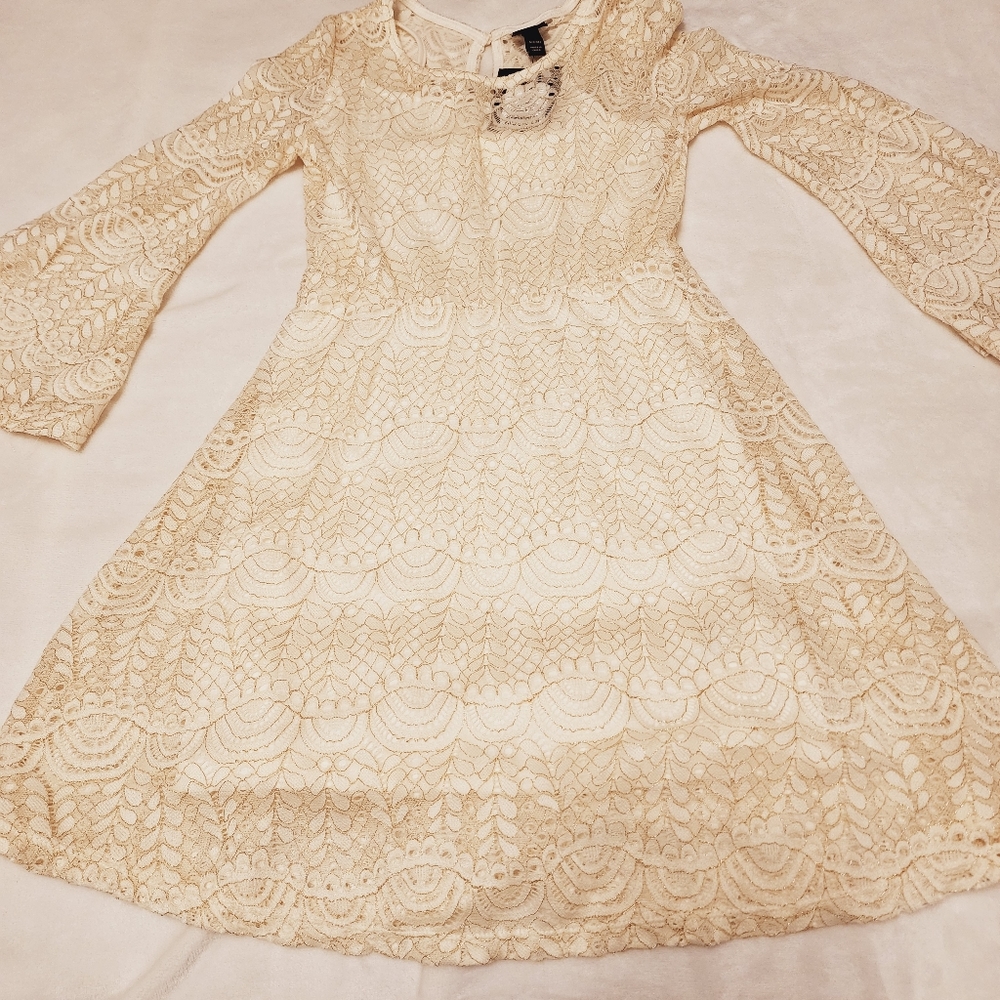 A cream lace dress with hints of gold